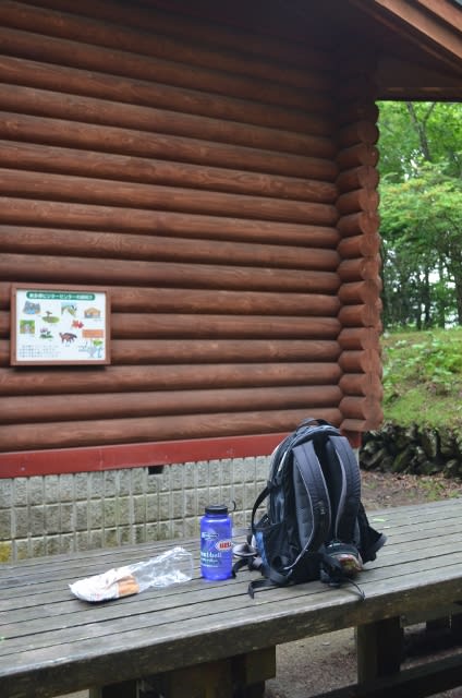鷹ノ巣山 登山 鷹ノ巣山 登山